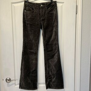 Pilcro soft velvet pants